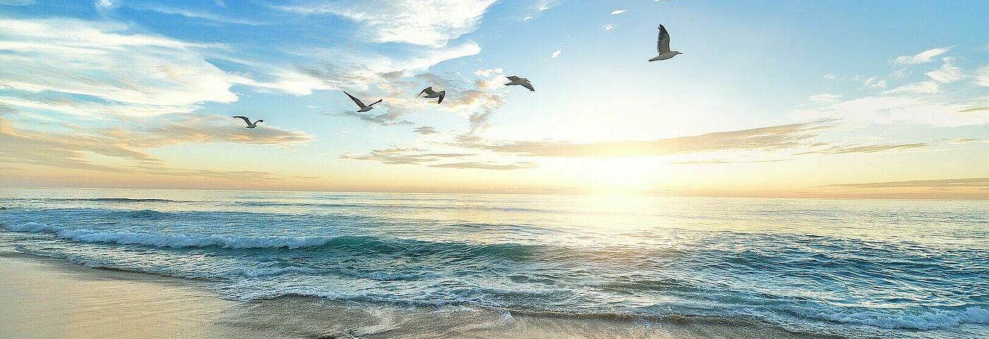 Strand mit ganz viel Licht, Wolken, fliegende Möwen